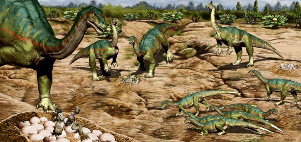 The breeding ground of a herd of the Jurassic Period Patagonian plant-eating dinosaur Mussaurus patagonicus is seen in an undated artist's rendition. (Jorge Gonzalez/Handout via Reuters)