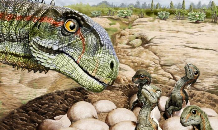 Patagonian Fossils Show Jurassic Dinosaur Had the Herd Mentality