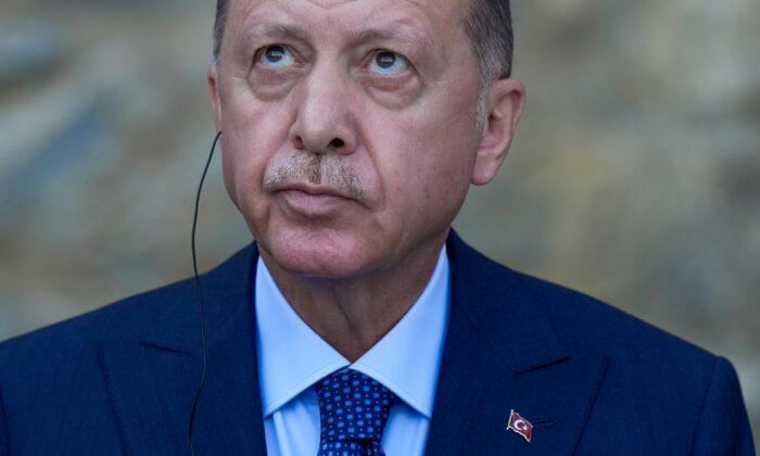 Erdogan Orders Removal of 10 Ambassadors, Including US Envoy