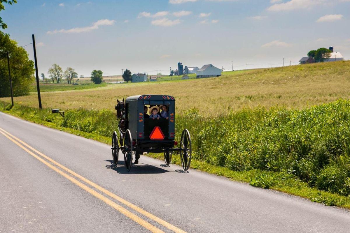 A horse and buggy ride down a country back road. (Brian Evans/DiscoverLancaster.com)