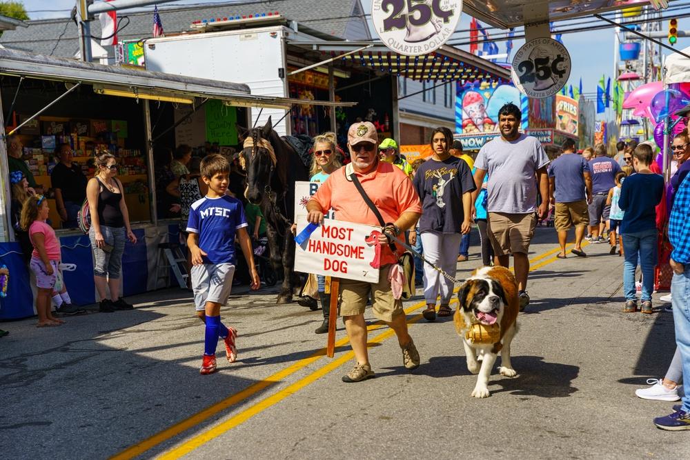 The Pet Parade includes dogs and other pets at the annual community street fair in a small community in Lancaster County. (George Sheldon/Shutterstock)