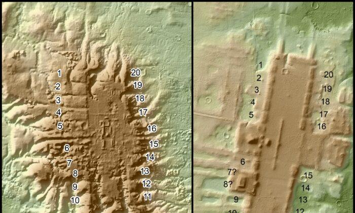 Remote-Sensing Reveals Details of Ancient Olmec Site in Mexico