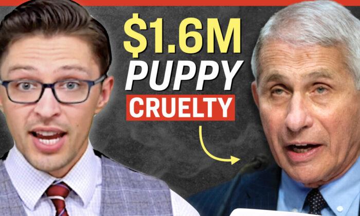Facts Matter (Oct. 25): Fauci’s Agency Spent $1.6 Million on Torture-Like Experiments on Beagle Puppies: Report
