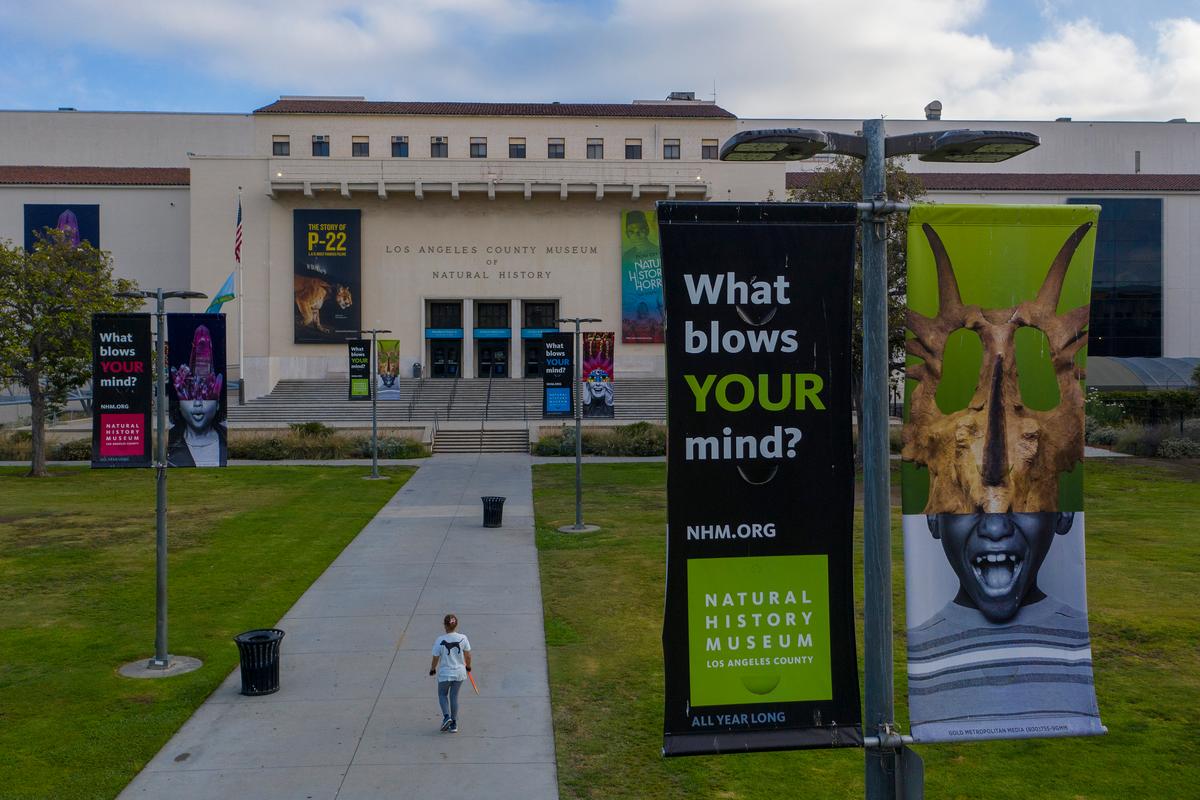 Groundbreaking Scrubbed for Museum Project Bearing Ridley-Thomas’s Name
