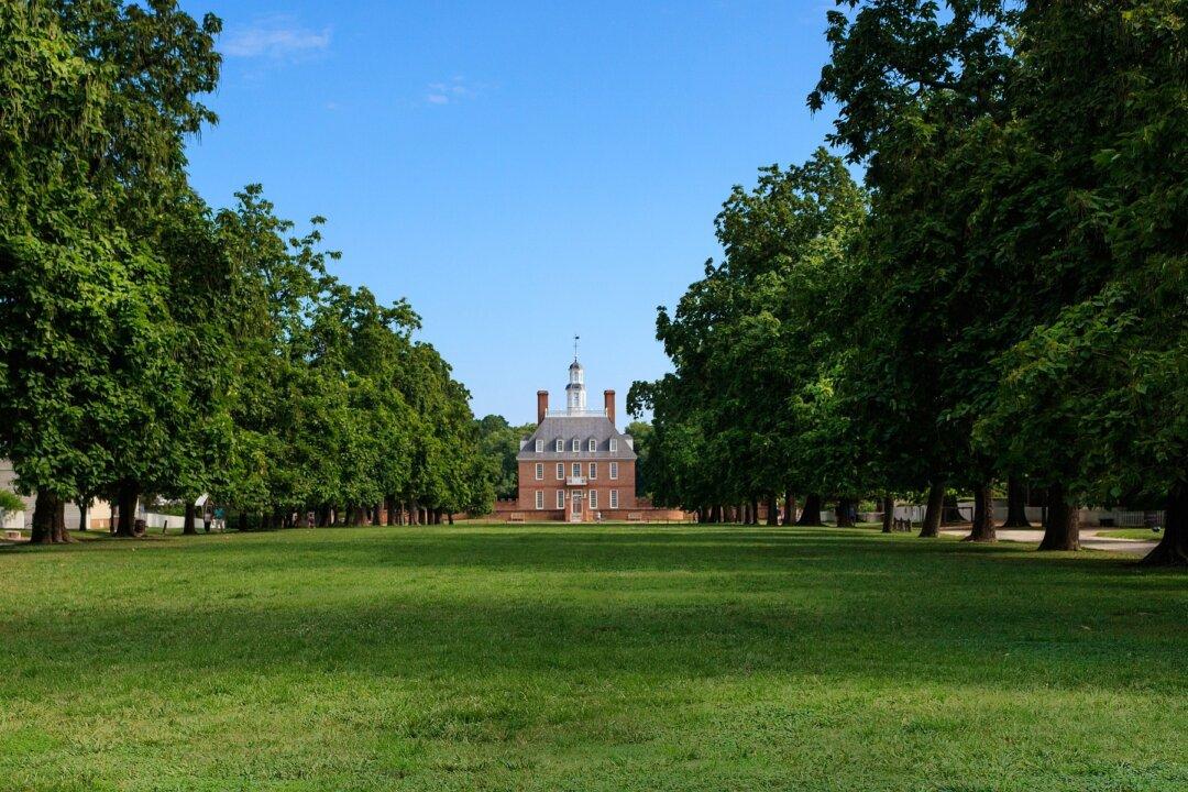 Virginia Delegate Races Could Reflect National Anti-Democratic Mood