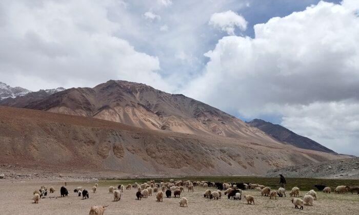 Soldiers Versus Shepherds: Indian Shepherds Stand Up to Chinese Military