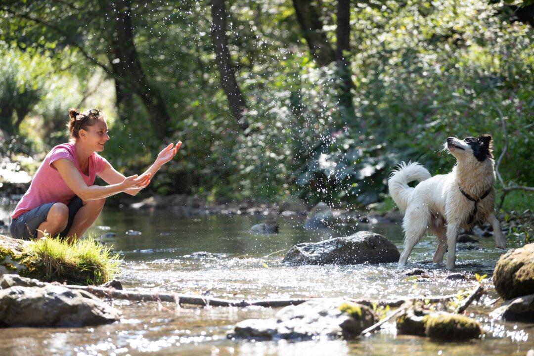 Nature-Based Activities Help Reduce Anxiety in Adults