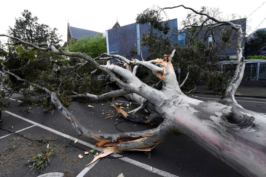 Wild Winds in Australia Leave Thousands Without Power