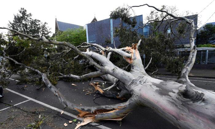 Wild Winds in Australia Leave Thousands Without Power