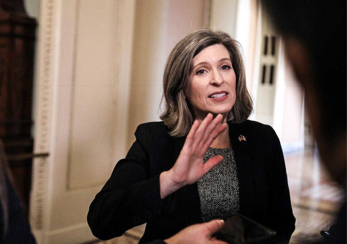 Ernst Demands IRS Watchdog Audit Federal Agency’s Hiring and Re-Hiring Tax Cheats