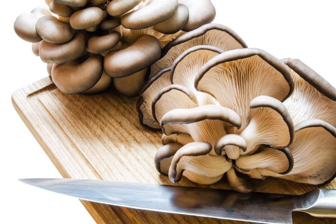 Why You Should Add Oyster Mushrooms to Your Meals