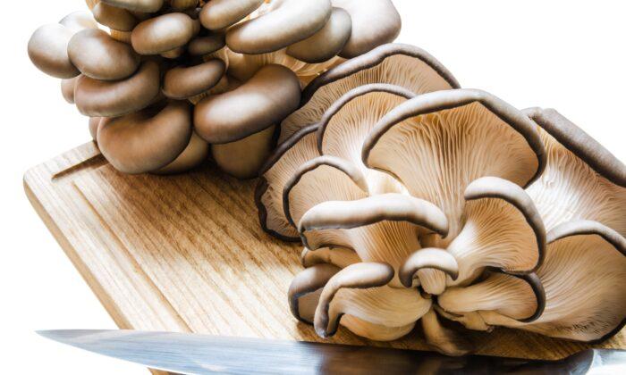 Why You Should Add Oyster Mushrooms to Your Meals