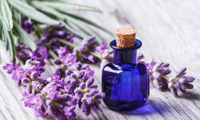 UCI Scientists Discover How Fragrance Can Triple Cognition Level for Elderly
