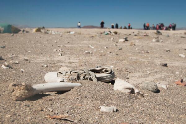 Bones and a shoe in the desert near the border between Chile and Bolivia, on Oct. 26, 2021. (Cesar Calani Cosso/Epoch Times)