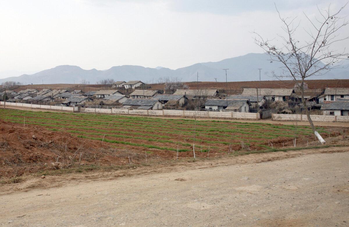 Collective farms in North Hwanghae Province, close to Pyongyang, as seen from the road between Pyongyang and Kaesong, North Korea, on April 25, 2007. After being ravaged by famine in the 1990s, North Korea again faces serious food shortages. Only 17 percent of the land in North Korea is arable, one of the lowest ratios in the world, according to the U.N.’s World Food Program (WFP). (AFP/Getty Images)