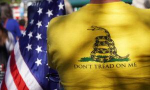 Florida Rolling Out ‘Don’t Tread on Me’ License Plate