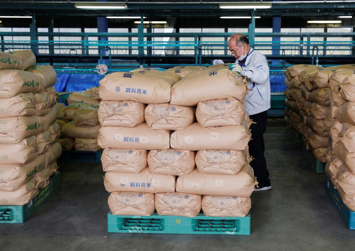 A farmer checks on packs of rice ready for delivery at a sorting site for produce in Iwaki, Fukushima prefecture, Japan, on Nov. 2, 2021. (Sakura Murakami/Reuters)