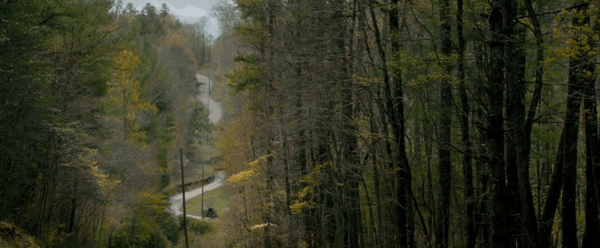 The lawless hills and wooded hollows of Virginia bootleg country in “Lawless.” (Richard Foreman/The Weinstein Company)