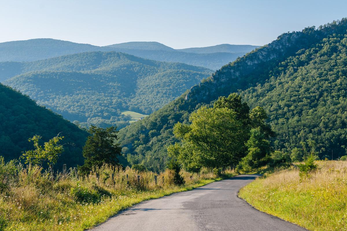 West Virginia Targets Proxy Voting in Fight Over ESG