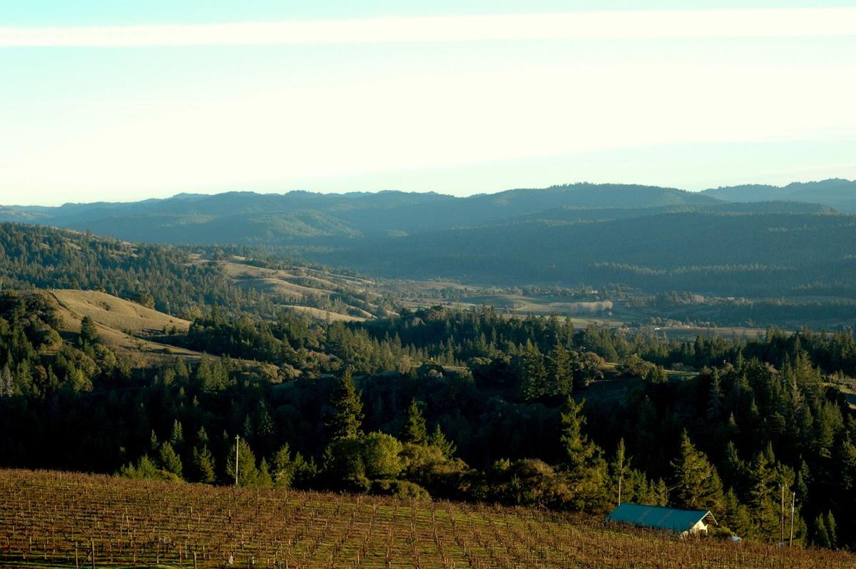 Anderson Valley's the county's best-known appellation. (Jay Bergesen/CC BY 2.0)