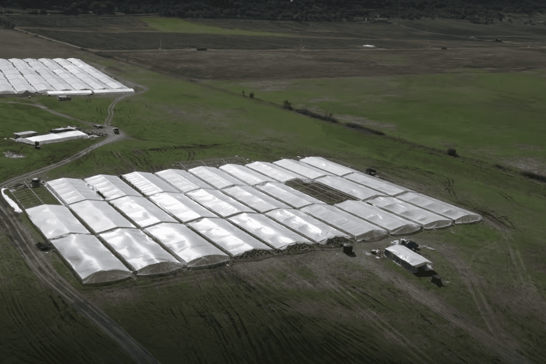 Oregon Congressman Presses AG Garland to Act on Narco-Slavery in Oregon