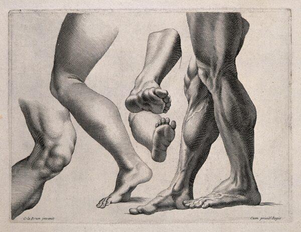 An engraving of legs in various attributes, by Charles Le Brun. (PD-US)