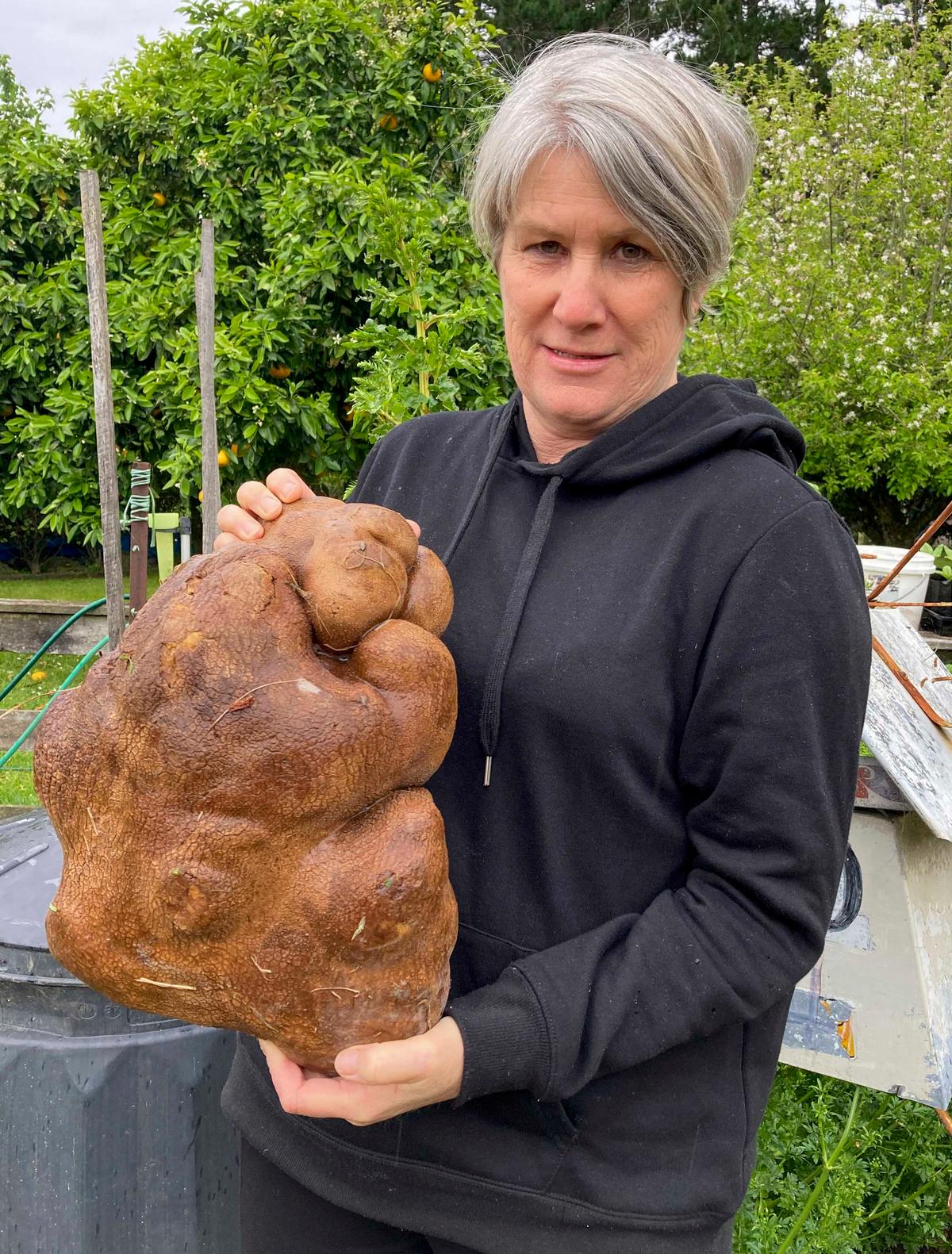 Donna Craig-Brown holds a large potato dug from her garden at her home near Hamilton, New Zealand, Wednesday, Nov. 3. (Colin Craig-Brown via AP)