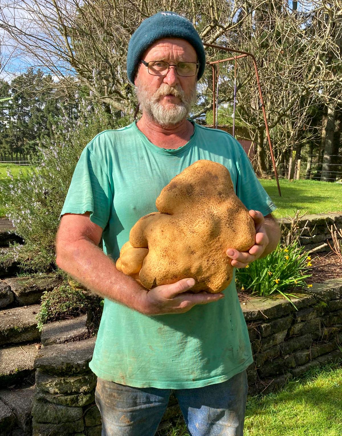 Colin Craig-Brown holds the large potato dug from his garden at his home near Hamilton, New Zealand, Aug. 30. (Donna Craig-Brown via AP)