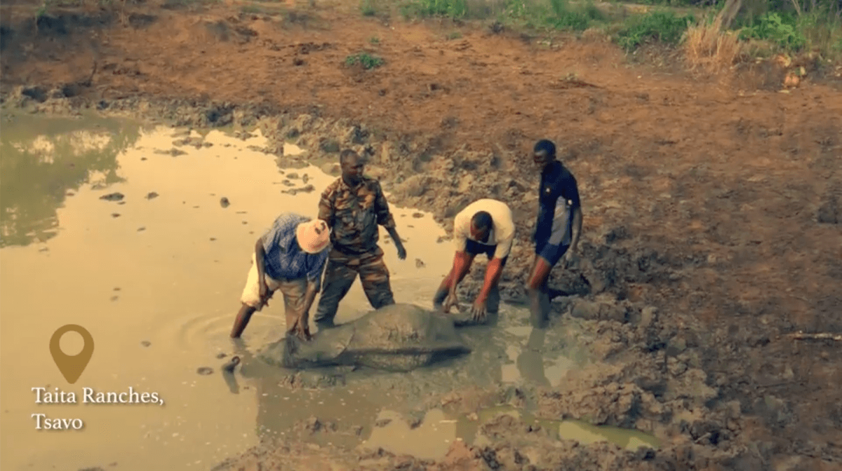 The Kenya Wildlife Service rangers helping Dololo. (Courtesy of <a href="https://www.facebook.com/SheldrickTrust/" target="_blank" rel="noopener">Sheldrick Wildlife Trust</a>)