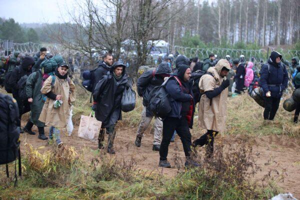 Immigrants gather near a barbed wire fence in an attempt to cross the border with Poland in the Grodno region, Belarus, on Nov. 8, 2021. (Leonid Scheglov/BelTA/Handout via Reuters)