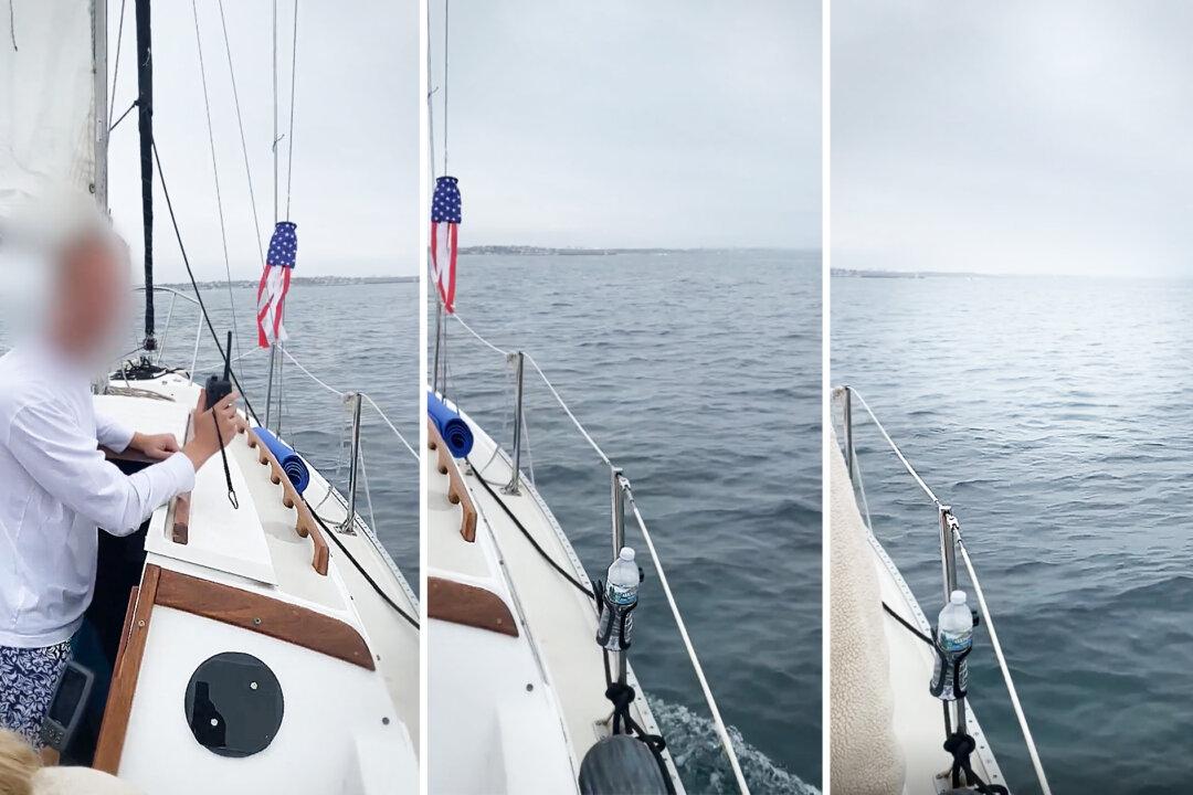 Sailor in Santa Monica Bay Led by Dolphins to Woman Stranded Miles From Shore, Saves Her Life