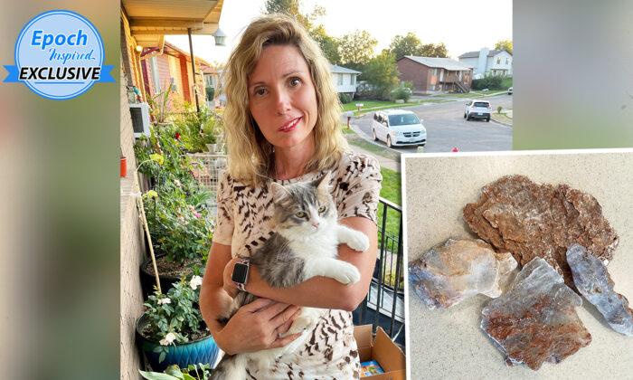Brain Tumor Survivor’s Gesture Helps Little Girl Selling Rocks to Pay for Cat Food