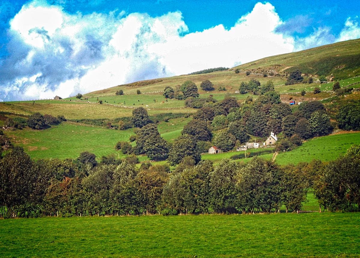 Few foreigners seem to be aware of it, but the verdant Welsh countryside easily matches that of Ireland or Scotland. (Copyright Fred J. Eckert)