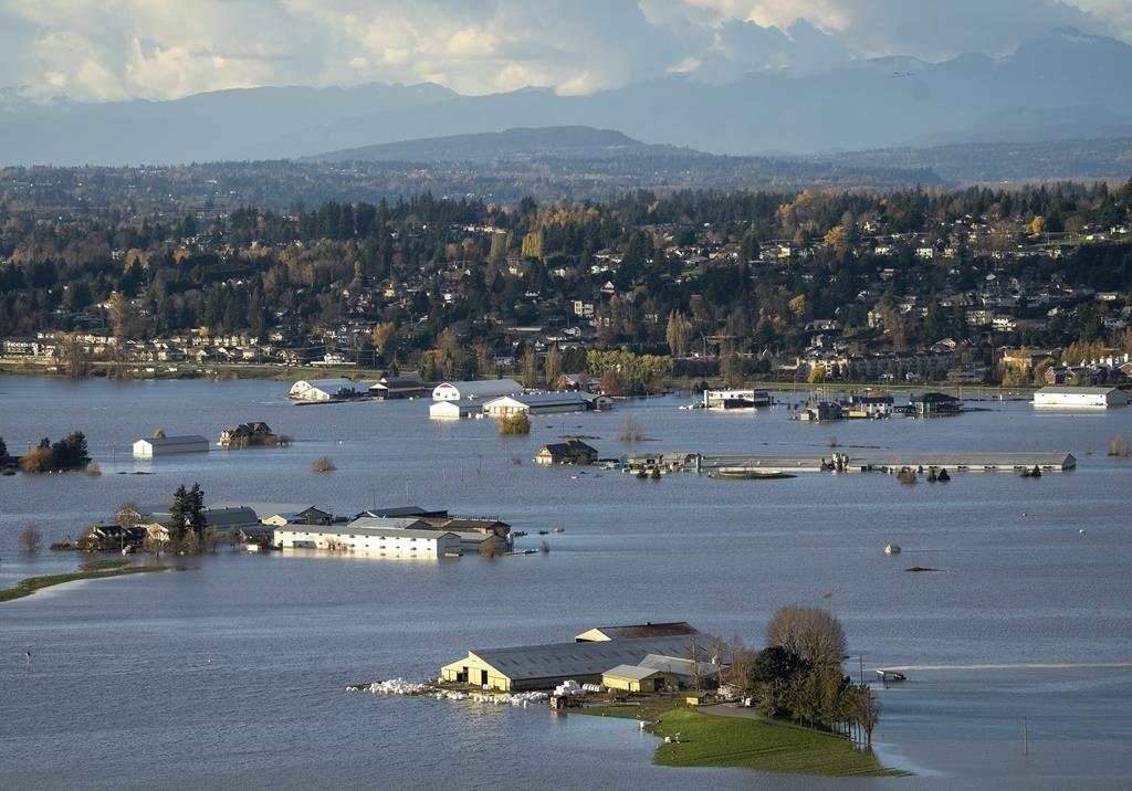 Flooding in BC ‘Testing the Resilience’ of Dairy Farmers, Says Association