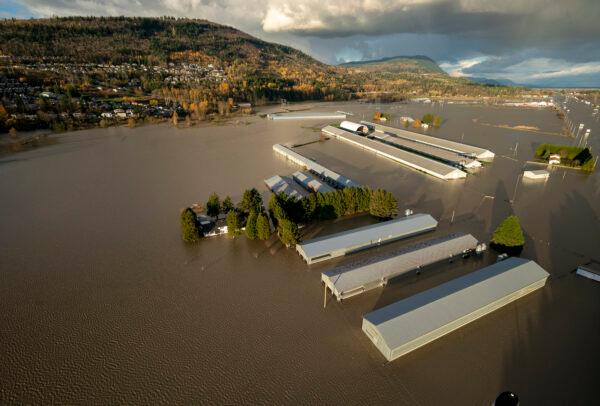 Rising flood waters are seen surrounding barns in Abbotsford, British Columbia, on Nov. 16, 2021. (Jonathan Hayward/The Canadian Press via AP)