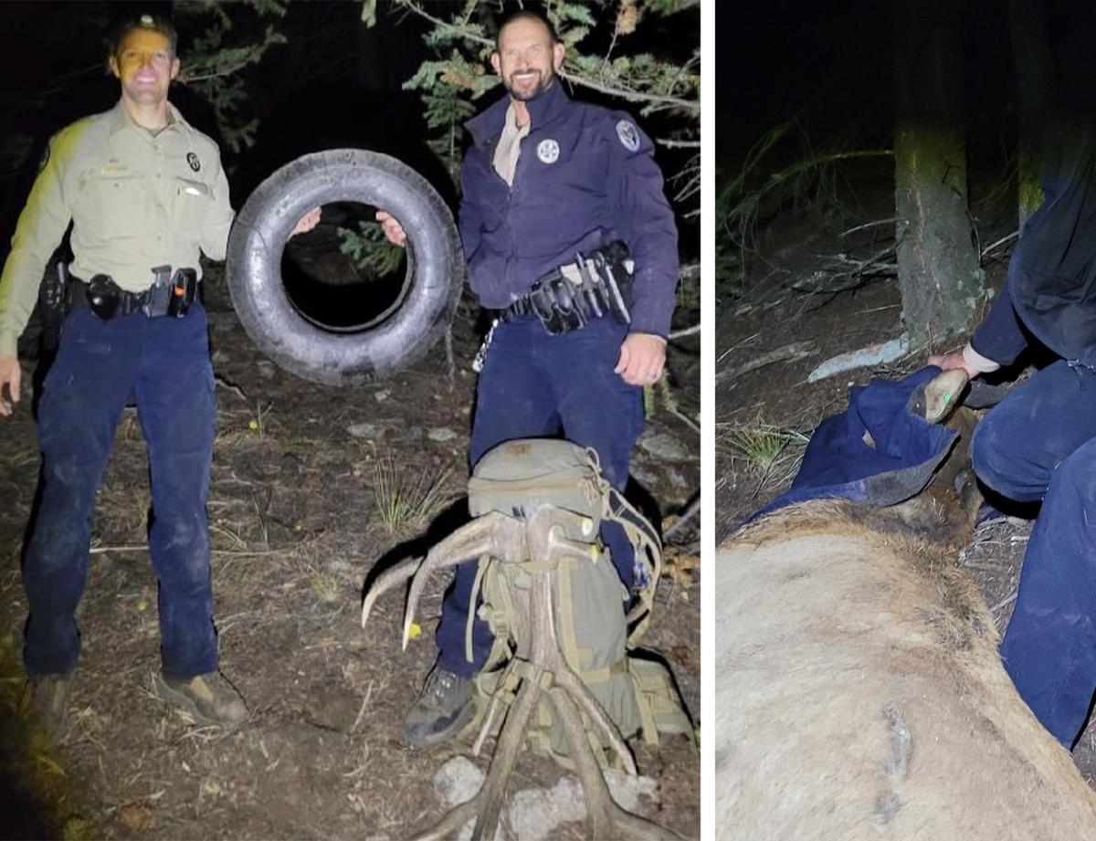 (Left) Wildlife Officers Scott Murdoch (L) and Dawson Swanson hold up the tire that was on this bull elk for over two years. (Courtesy of Pat Hemstreet via <a href="https://cpw.state.co.us/aboutus/Pages/News-Release-Details.aspx?NewsID=7971">Colorado Parks and Wildlife</a>); (Right) The elk's neck showed surprisingly little injury from the tire. (Courtesy of Pat Hemstreet via <a href="https://cpw.state.co.us/aboutus/Pages/News-Release-Details.aspx?NewsID=7971">Colorado Parks and Wildlife</a>)