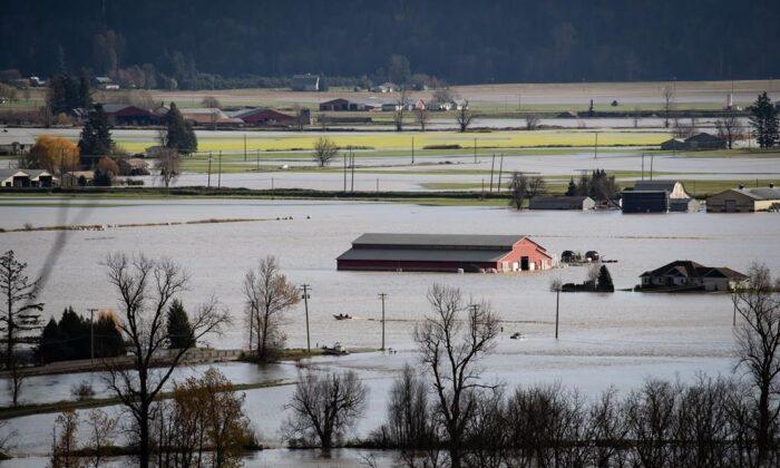 Water Main Break Preventing Abbotsford Farmers From Accessing Water for Animals