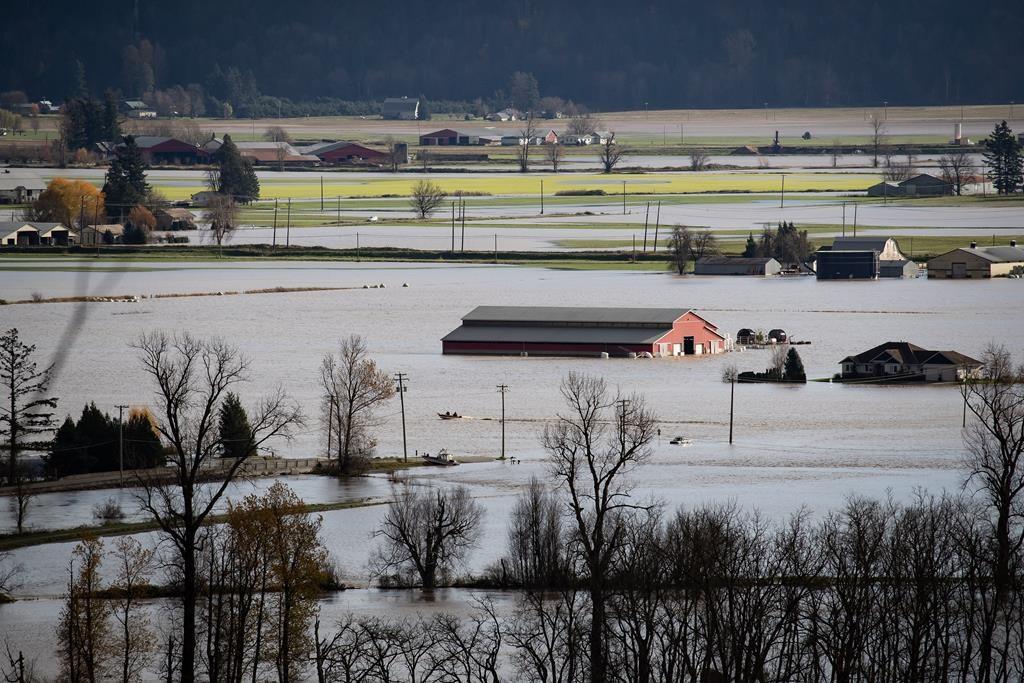 Water Main Break Preventing Abbotsford Farmers From Accessing Water for Animals