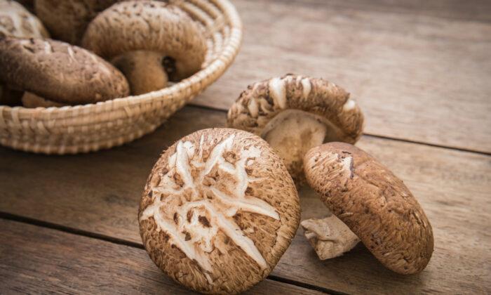 Shiitake Mushrooms Proven to Benefit Dozens of Diseases