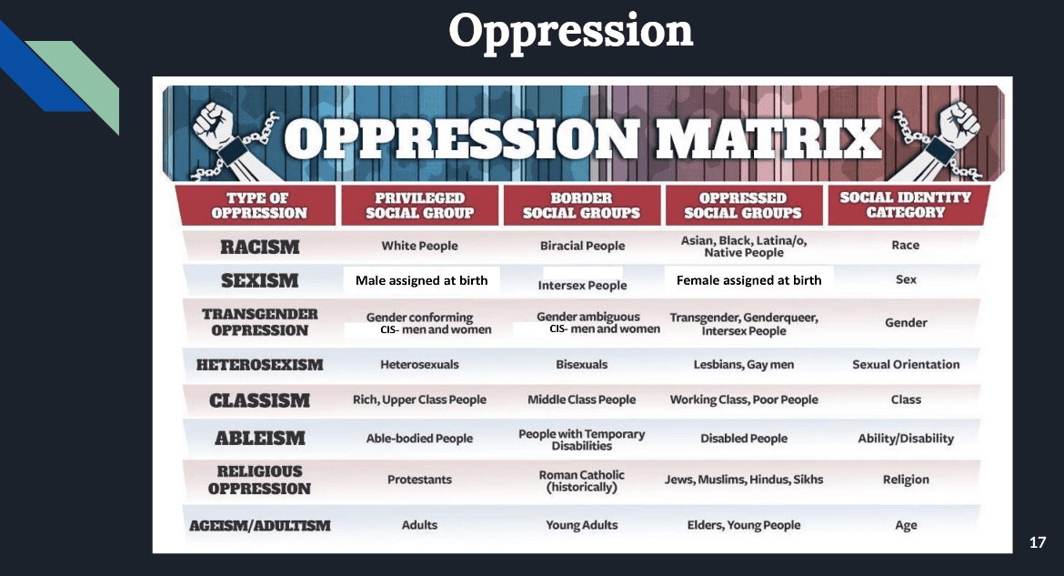 An "Oppression Matrix" was used in a district-wide training at Springfield, Mo., Public Schools in fall 2020. (Springfield Public Schools/Missouri Attorney General's Office)