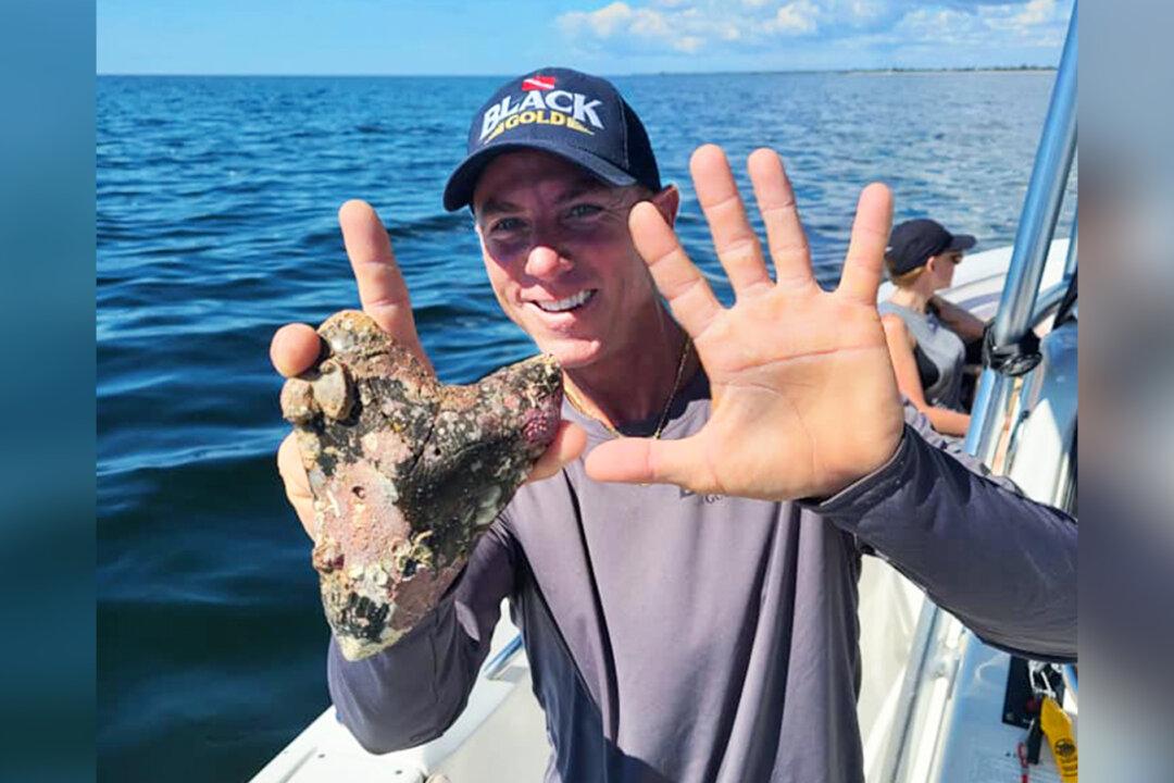 Diver Finds Massive 6-Inch Megalodon Tooth Over 20 Million Years Old off Coast of Florida