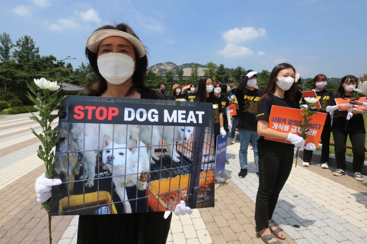 South Korean animal rights activists stage a rally opposing South Korea's culture of eating dog meat near the presidential Blue House in Seoul, South Korea on July 16, 2020. (Ahn Young-joon/AP Photo)
