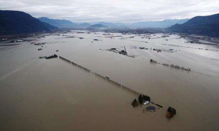 ‘It’s My Life’s Work’: BC Fruit and Vegetable Growers Face Uncertainty After Floods