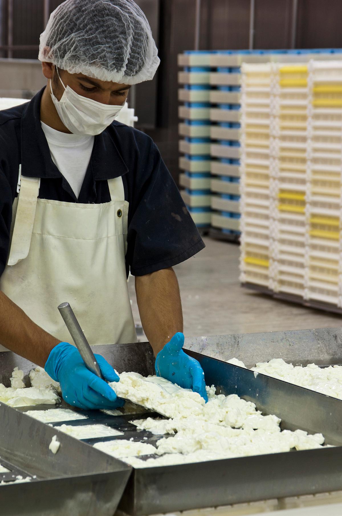 At the <a href="https://www.roussas.gr/">Roussas Dairy</a>, the family has been making traditional Greek feta the same way since the 1950s. (Courtesy of Odysea)
