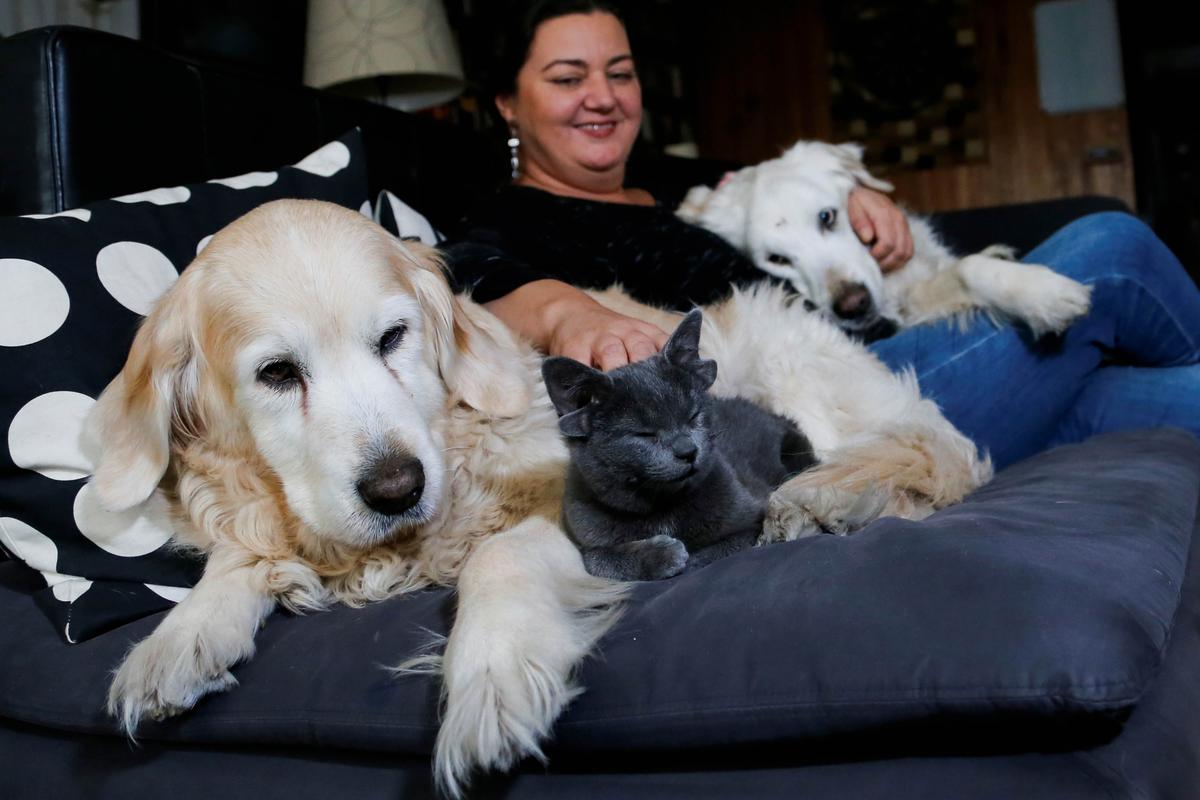 Midas, a 4-month-old kitten born with four ears, is seen with her owner Canis Dosemeci, along with Suzy and Zeynep the dogs, at that their home in Ankara, Turkey. (Cagla Gurdogan/Reuters)