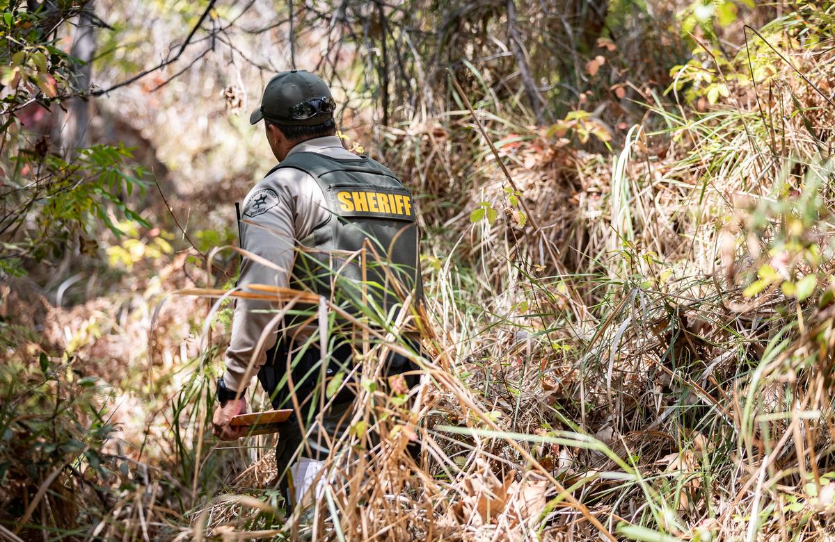 Increased Marijuana Cultivation Enforcement Results in Fewer Illegal Sites: Sheriff