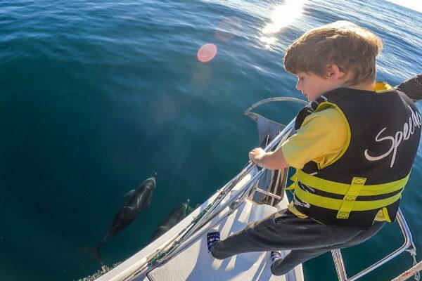 Eight-year-old Alex Wynn watches a school of dolphins off the side of the sailboat, in December 2021. (Courtesy of Kristi Wynn)