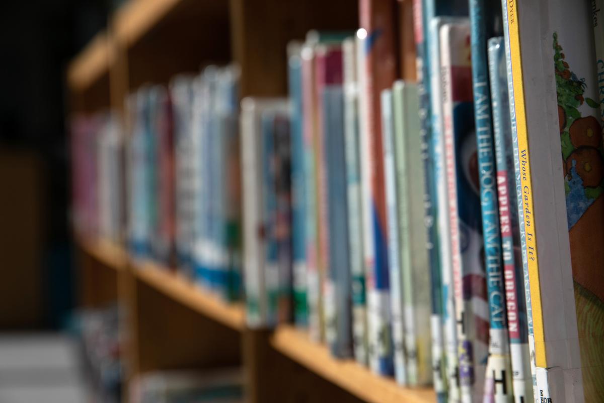 Virginia's Loudoun County Pulls Sexually Explicit Book From School Libraries