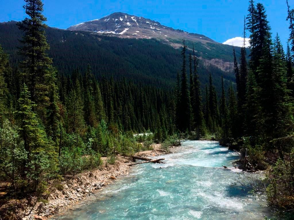 Ottawa Announces $14.7 Million to Fight Aquatic Invasive Species in Mountain Parks