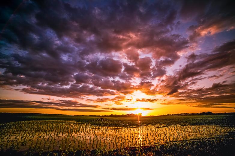 The Midwest is known for it thunderstorms and corn crops. The results are beautiful sunsets. (Cat Rooney)